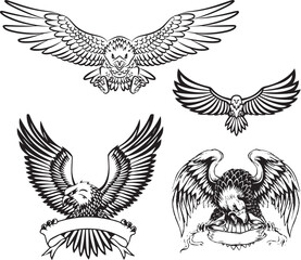 Flying Eagle Birds animals art graphic resources vector Element image design