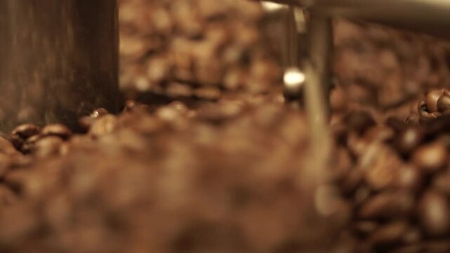 Close-up of coffee beans in a coffee roastery