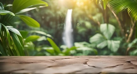 Stone podium with tropical forest natural background