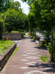 新緑の並木と道路の風景