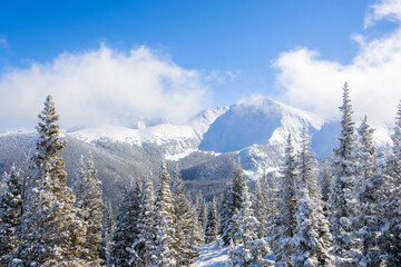 Snowy Winter Alpine Landscape with Snow-Covered Trees