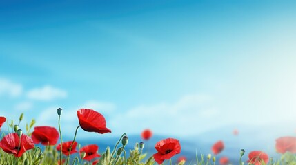 Italy Liberation Day background with vibrant red poppy field