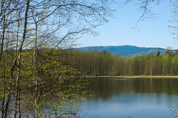Obraz premium spring landscape with lake and mountain