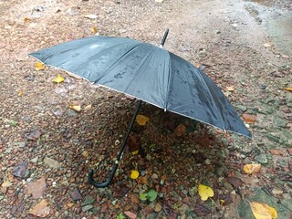 An umbrella or parasol is a folding canopy supported by wooden or metal ribs that is mounted on a wooden, metal, or plastic pole.