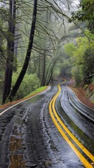 Obraz premium Hailstorm on a Winding Road with Yellow Line in a Forest. Ideal for Travel, Scenic Routes, and Outdoor Adventures. Perfect for Seasonal Themes like Summer, Autumn, Spring, and Four Seasons. AI-Generat