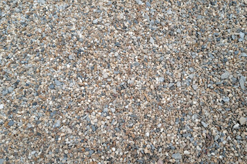 Rocky trail pathway among natural green park