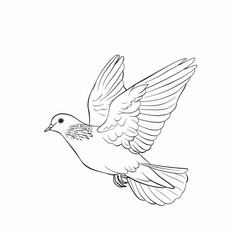 Obraz premium A white dove is a symbol of peace and Easter. A modern monochrome sketch of a white dove or pigeon is shown