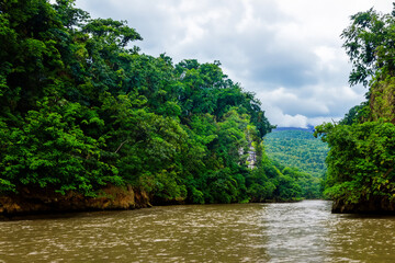tropical jungle landscape