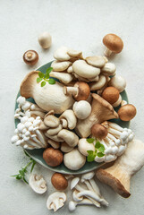 Assortment of various raw mushrooms on gray concrete background.