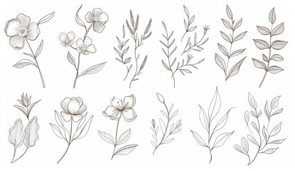 A modern doodle of twig sprigs with berries, leaves and flowers. A black and white floral pattern with forest berries in the border.