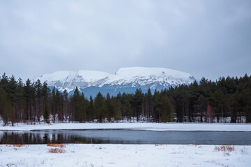 Fototapeta premium Winter Landscape