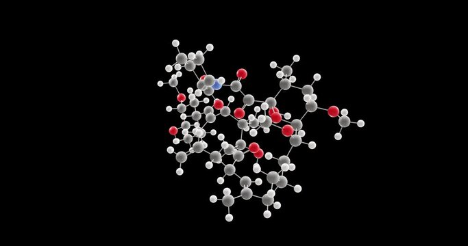Tacrolimus molecule, rotating 3D model of immunosuppressive agents, looped video on a black background