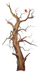 Obraz premium PNG dead tree, plant element, transparent background