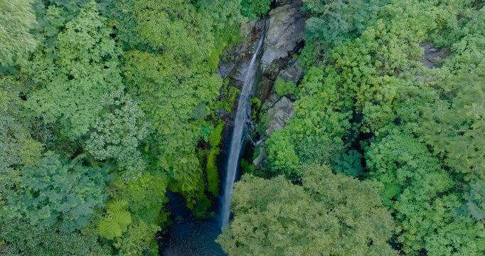 waterfall in the middle of the forest