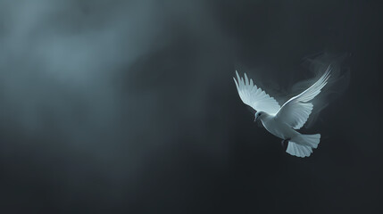 Obraz premium White dove flying in the sky, symbol of peace and hope
