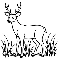 Woodland Escape Coloring Pages For Coloring Book