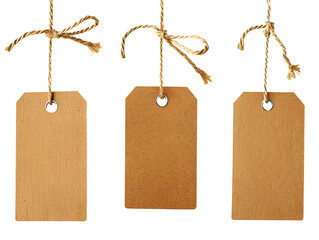 Three blank brown paper tags with twine hanging.  Perfect for product labeling, gift tags, or craft projects.