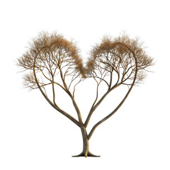 Obraz premium Heart-shaped tree branches symbolizing love and nature, perfect for Valentine's Day or romantic themes in outdoor settings.