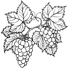grape, leaf, vector, fruit, illustration, vine, food, nature, wine, plant, berry, branch, grapes, design, bunch, decoration, pattern, floral, flower, grapevine, autumn, art, green, ripe, drawing