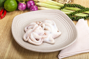 Delicous fresh raw uncooked octopus