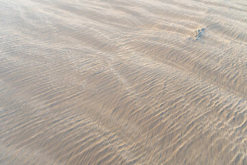 Obraz premium Sand Texture Background, Sandy Beach Pattern, Beige Ocean Dune Wallpaper, Wet Beach