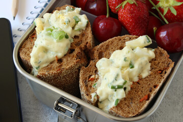 Healthy Snack Break: Egg Salad Sandwich with Berries in Stainless Steel Lunchbox