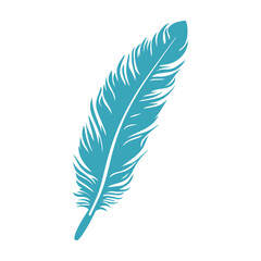 Fototapeta premium A large teal blue feather with white highlights