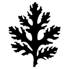Black silhouette of an oak leaf