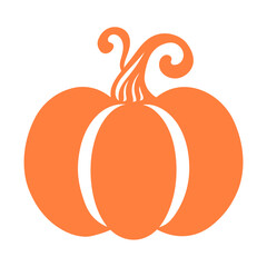 An orange pumpkin on a white background