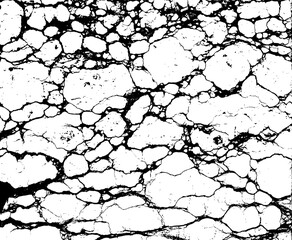 Black and White Marble Stone Vector Texture