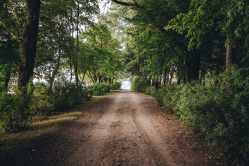 Obraz premium A dirt road in the forest. Way in the park. Picturesque alley. Beauty in nature. Hiking travel. Woodland landscape. A scenic trip. No people. Summer backdrop. Natural background. Beautiful wallpaper
