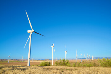 Wind turbine generators for green electricity production