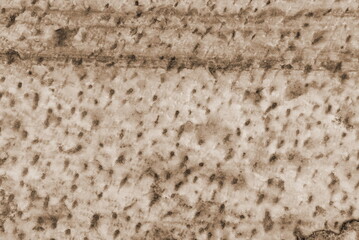 Sepia Toned Bread Texture Close-Up Detailed