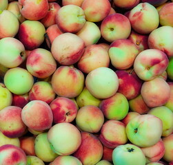 Close-Up Full Frame Ripe Peaches Texture