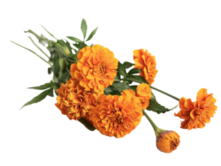 a bunch of orange flowers