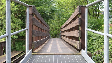 Prospettiva con vista della passerella e di un ponte con struttura in legno e metallo e immerso nel verde.