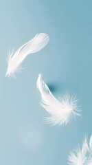 Feather on blue background phone wallpaper banner