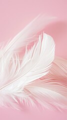Obraz premium Feather on pink background wallpaper banner