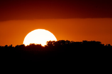 Golden sunset with sun behind the trees