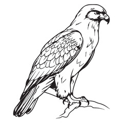 Simple flat hawk icon design, black vector illustration on white background
