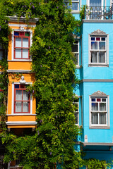 windows in colorful building blue and orange with green grass