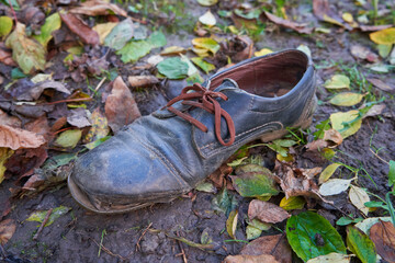 torn old shoes in nature, one old men's shoes in autumn on yellowed leaves