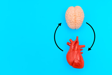 Brain and Heart Connection Concept