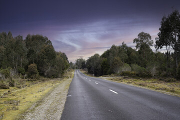 Fototapeta premium West Coast Tarkine Road Tasmania