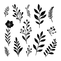 collection of plant and flower design elements