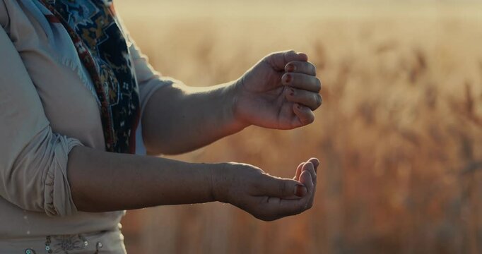 hands on the wheat