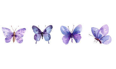 
Lavender flowers and butterflies, watercolor illustration set on white background. Hand drawn design elements for summer wedding invitation card or poster, digital art style, detailed illustration, 