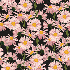 Chamomile Daisy Wildflower Background. Seamless Pattern on black. Hand Drawn Textile. Spring and Summer Meadow Repeat Illustration. 