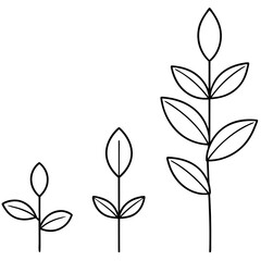 Plant-growth-phases vector illustration