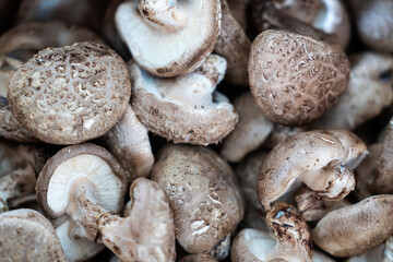 mushrooms on sale in the market